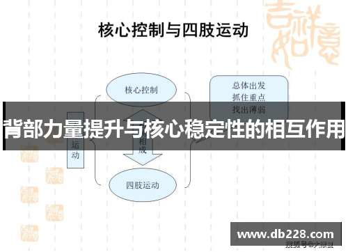 背部力量提升与核心稳定性的相互作用