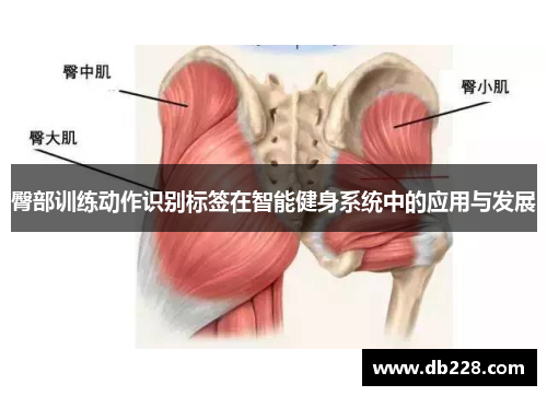 臀部训练动作识别标签在智能健身系统中的应用与发展